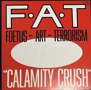 [ 見本盤 / 12 / レコード ] Foetus ~ Art ~ Terrorism / Calamity Crush ( Industrial / EBM ) Self Immolation - YW-7423 