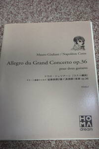 ホマドリーム/マウロ・ジュゼッペ・セルジョ・パンタレーオ・ジュリアーニ:ギター二重奏のための協奏曲第2番op.26第1楽章楽譜/コスト編曲