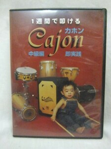 1週間で叩ける Cajon カホン 中級編 即実践 練習 DVD インストラクター 水野茂 送195