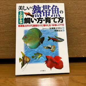 美しい熱帯魚の上手な飼い方・育て方