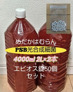 【4000ml】PSB光合成細菌+エビオス錠50個【めだか_はむらん】psb メダカ 水質浄化　農業　土壌改良　うどんこ病防止　無農薬　