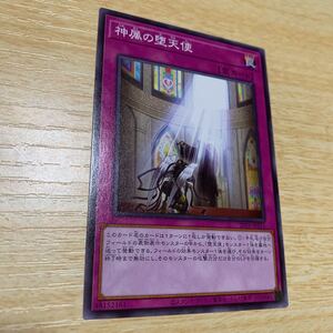 遊戯王 神属の堕天使 20TP