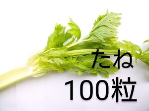 ゴールデンセロリの種子 100粒 黄金白色の茎と黄緑の葉が特徴のセロリ セルリー 中晩生品種