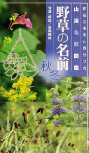 野草の名前(秋冬) 和名の由来と見分け方 山溪名前図鑑/高橋勝雄