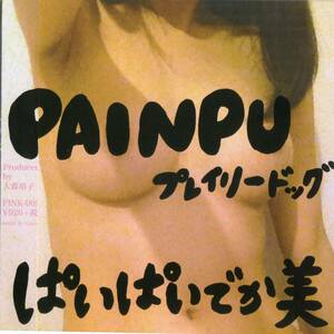 ぱいぱいでか美/PAINPU【大森靖子楽曲提供＆歌唱インディーズ紙ジャケット】帯付2014年*どついたるねんうーちゃんトラック制作