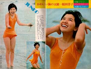 ｓ3162 良品 平凡 歌本付 1973年 昭和48年 水着ビキニ桜田淳子 森昌子 麻丘めぐみ南沙織 栗田ひろみ小柳ルミ子 天地真理西城秀樹 山口百恵