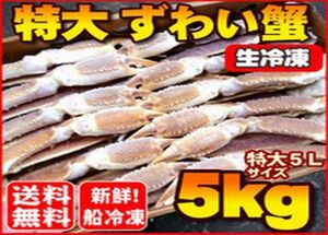 【ヤフオク 年末年始対応商品】送料無料2024！船上凍結産地箱 極太５L 生ズワイガニ５kg【かに カニ 蟹a