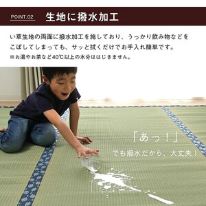 カーペット 純国産 い草 三六間3畳(約182×273cm) 上敷き はっ水 カーペット 双目織 撥水ほほえみ