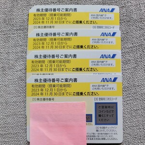 ANA 全日空 株主 2024年11月30日 4枚 番号通知対応