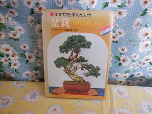 B8　『仕立て方と手入れ入門　盆栽＜創作と楽しみ方＞　カラー版』　加藤照吉著　梧桐書院発行