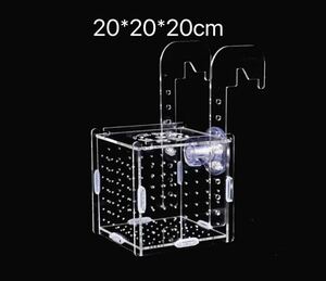 水槽　組立式　繁殖箱　隔離ボックス　隔離ケース　産卵箱　20＊20＊20cm