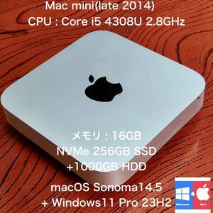 B Mac mini(late 2014)16GB 256GBSSD+HDD1TB Mac&Winデュアルブート