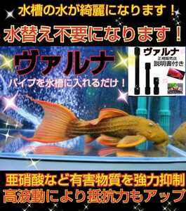 プレコの飼育者絶賛！水質が抜群に【ヴァルナ23センチ】有害物質を強力抑制！透明度が抜群になります！水替え一切不要になります！楽チン