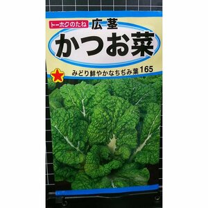 ３袋セット 広茎 かつお菜 かつおな ちぢみ 種 郵便は送料無料