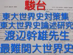 駿台の渡辺幹雄先生による東大世界史対策集　最上位クラス　鉄緑会　河合塾　東進