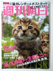 ◆ネコポス送料無料◆週刊朝日　2019年12/13号　◆猫特集（カレンダー・ポストカード）、長谷川京子◆