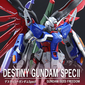 RG デスティニーガンダム SpecⅡ 光の翼 徹底改修 塗装済完成品 機動戦士ガンダムSEED FREEDOMシン・アスカ DESTINY