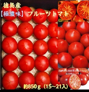 徳島県産 フルーツトマト【極濃味】(このみ)超濃厚 旨味 糖度10以上 化粧箱 ギフト 贈答用 お中元 御供え 誕生日祝