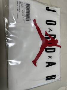 NIKE JSW TEE JORDAN AIR GX JORDAN ロゴ Tシャツ 