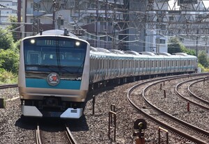 D940 JR京浜東北線 E233系 サイ150 鉄道写真