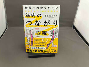 世界一わかりやすい 筋肉のつながり図鑑 きまたりょう