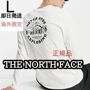 THE NORTH FACE ノースフェイス メンズ 長袖 ロンT Tシャツ バッグプリント アウトドア L ホワイト 白