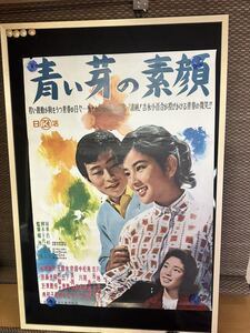 映画ポスター 青い芽の素顔 日活 川地民夫 吉永小百合 南寿美子 松尾嘉代 中川姿子 堀恭子 奈良岡朋子 若杉光夫 堀池清