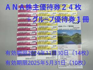 ANA株主優待券　２４枚＋グループ優待券　１冊　（送料無料））