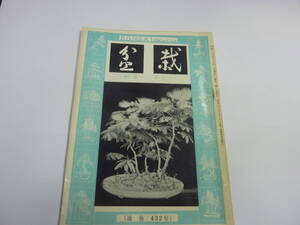 「盆栽」 盆栽研究 叢会 発行 ６３年前の盆栽雑誌です。