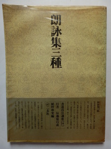 書道技法講座 24 行書 朗詠集三種 伝 藤原行成 書道 二玄社