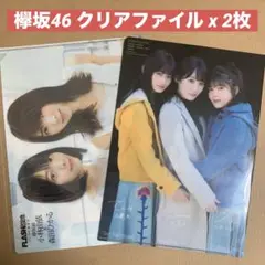 欅坂46 クリアファイル 雑誌付録 / 櫻坂46 グッズ 写真集 文房具