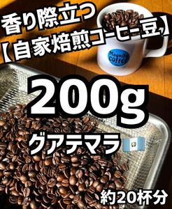 【匿名配送】自家焙煎コーヒー豆　グアテマラSHB(ガテマラ) 　約20杯分/200g(珈琲豆or粉)