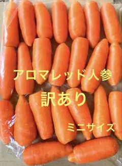 アロマレッド人参　にんじん　訳あり　ミニサイズ　箱込み1.4kg