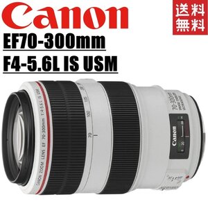 キヤノン Canon EF 70-300mm F4-5.6L IS USM 望遠レンズ フルサイズ対応 一眼レフ カメラ 中古