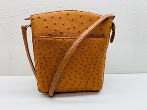 【美品】オーストリッチ 2WAYショルダーバッグ ショルダーストラップ付き 袋 縦約22㎝ 横約17.5㎝ オープンポケット チャック付きポケット