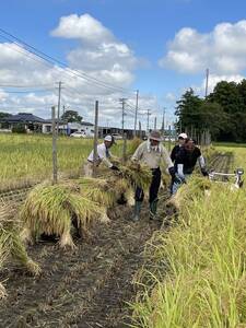 ☆令和6年産 新米 天日干し[自然乾燥] 宮城のササニシキ 白米10キロ☆