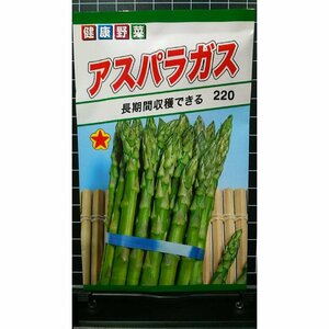 ３袋セット アスパラガス アスパラ 種 郵便は送料無料