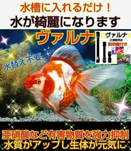 3年間水替え不要になります☆亜硝酸も激減！【ヴァルナ15センチ】有害物質を強力抑制！透明度がアップし生体が活性化！病原菌や感染症予防