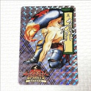 サムライスピリッツ カードダス キラカード 当時物 1994 SNK