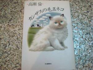 【カンザスの毛玉ネコ 】高瀬倫