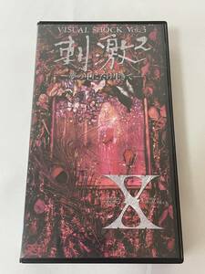X JAPAN VISUAL SHOCK Vol.3 刺激2 夢の中にだけ生きて VHS ビデオ 美品