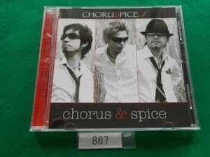 CD／CHORUSPICE／chorus&spice／コーラスパイス／4hollerz／管867