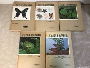 H　送料無料　原色日本　蝶類図鑑　海岸動物図鑑　羊歯植物図鑑　両性爬虫類図鑑　淡水魚類図鑑　5冊セット　保育社