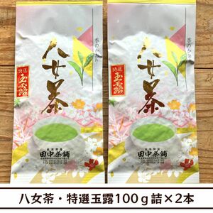 【送料無料】八女茶・特選玉露100ｇ詰×２本（福岡県産）