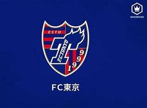 10月5日 ＦＣ東京VSサガン鳥栖　チケット　明治安田Ｊ１リーグ 下層バック　大人と子供(小学生以下)で2枚セット