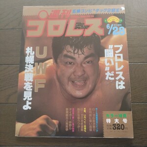 週刊プロレス昭和63年6月28日 263号