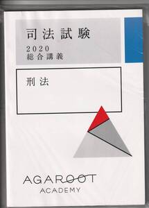 司法試験　2020　総合講義　刑法　テキスト　アガルートアカデミー