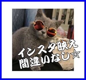 【送料無料】大人気★インスタ映え◎ かわいい おしゃれ 猫用サングラス ねこ ネコ 小型犬用サングラス イヌ いぬ★ブラックレンズ★黒