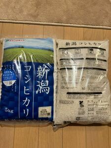 新潟県産コシヒカリ5キロ×2袋合計10kg 2024年6月精米