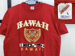 90s ハワイ スーベニア Tシャツ USA製 / 90年代 JERZEES HAWAII souvenir T-Shirt アメリカ製